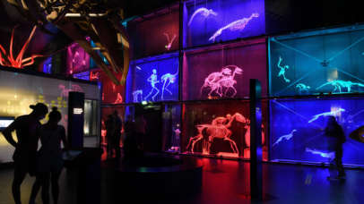 Nuit des musées