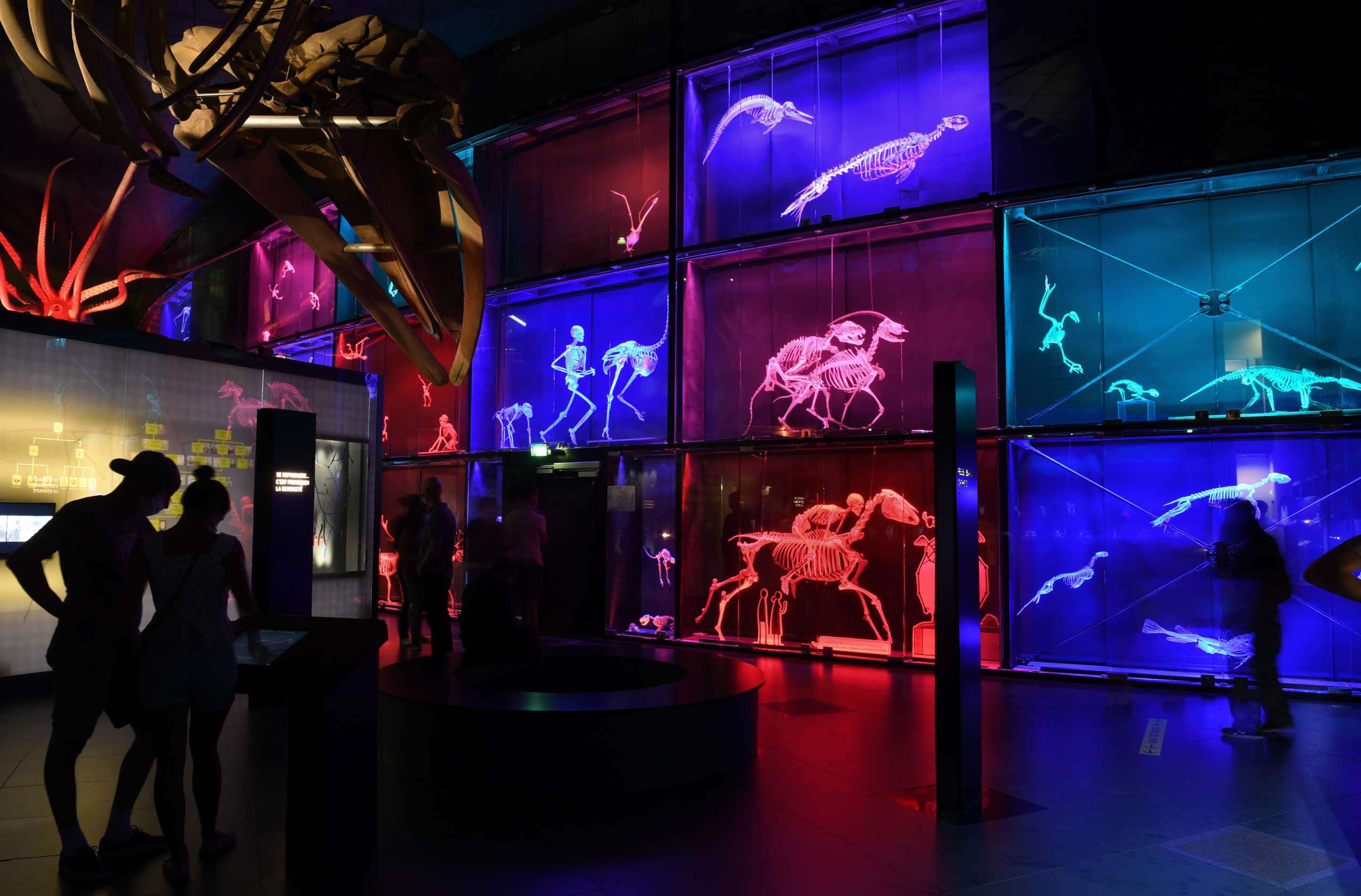 Nuit des musées